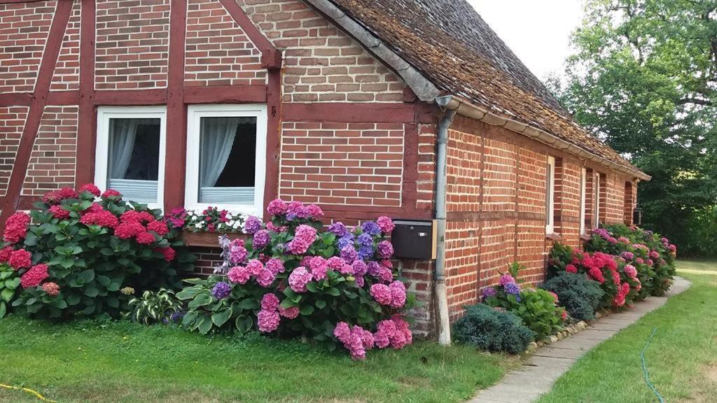 Von Wiegen, Ferienwohnungen Шнефердинген Экстерьер фото